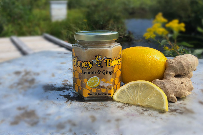 Honey Babies Lemon Ginger